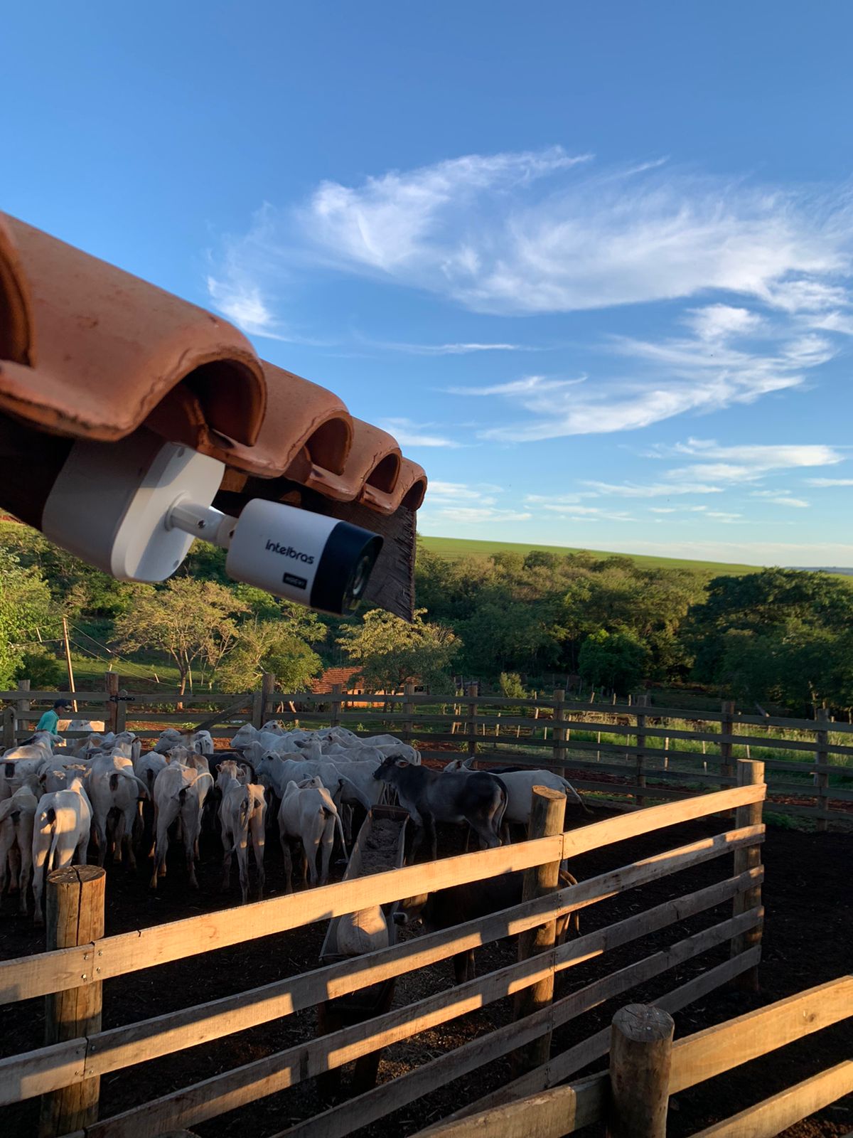 WhatsApp Image 2021-11-04 at 06.35.15 (1).jpeg